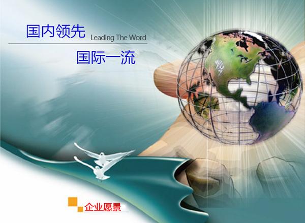 企业愿景
